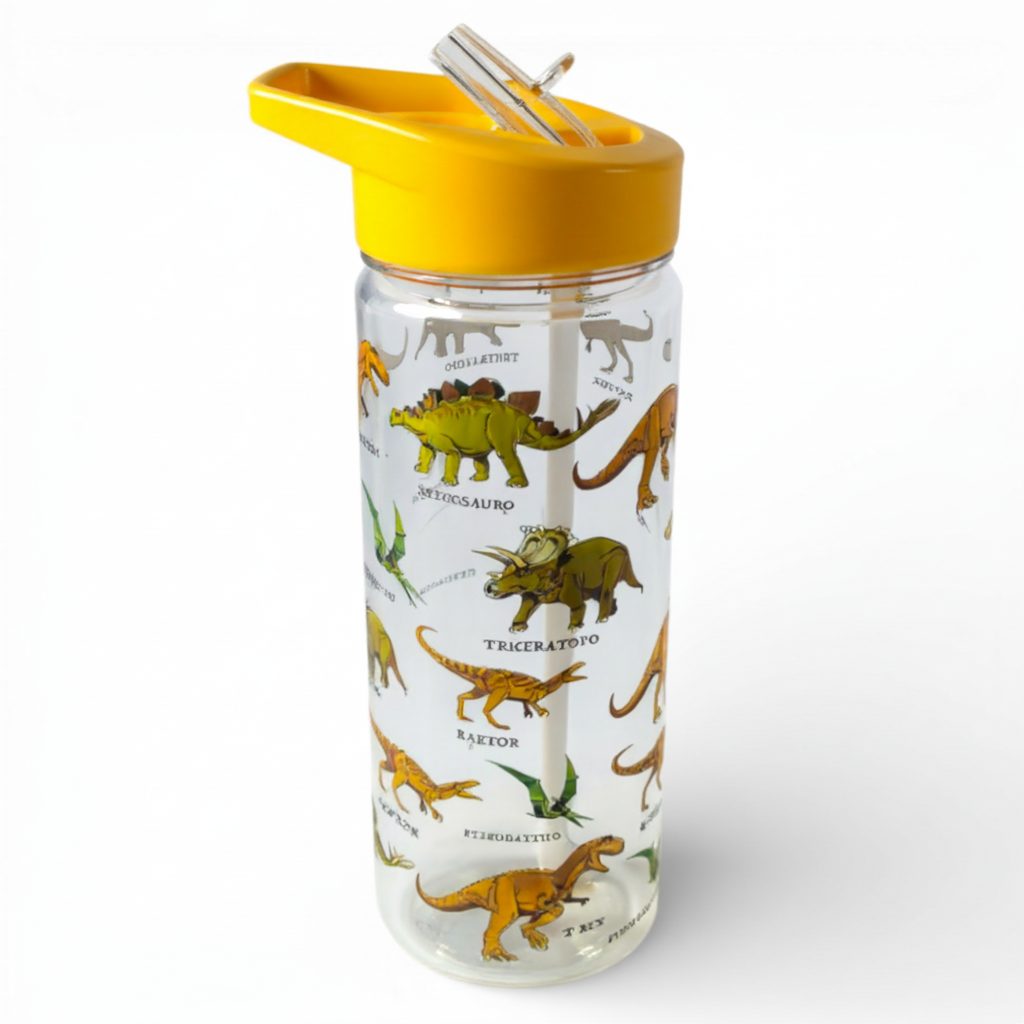 Bouteille d'eau dinosaure - 650 ml plastique transparent et autres tendances Bonbonne eau en vente B2B pour votre magasin sur Faire.